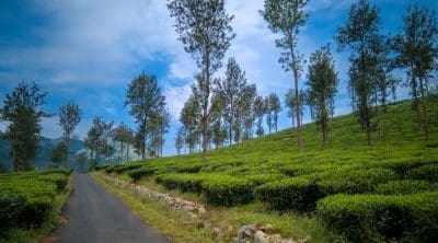 places to visit in wayanad cover image