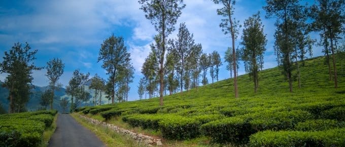 places to visit in wayanad cover image