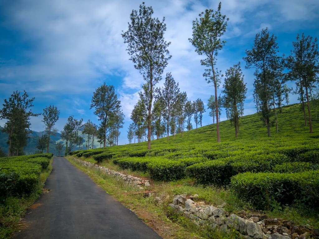 places to visit in wayanad cover image