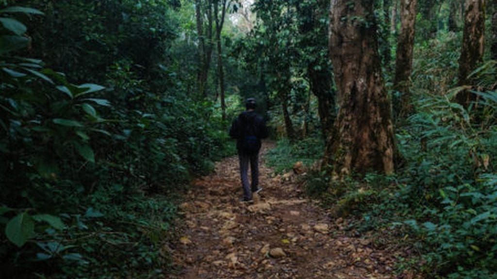 900-kandi-wayanad-trekking