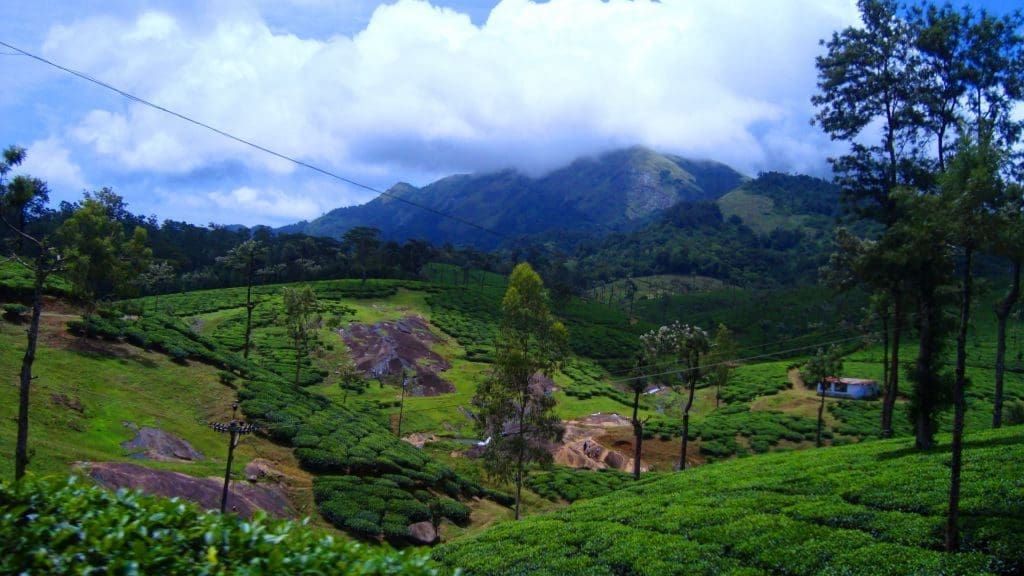 nelliyampathy-hills