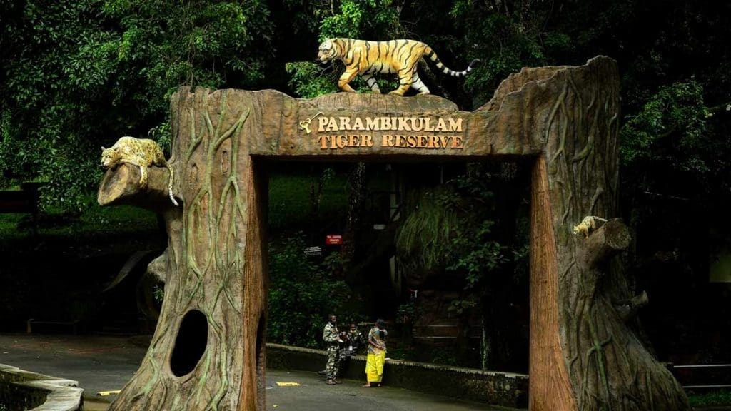 parambikulam-tiger-reserve-kerala