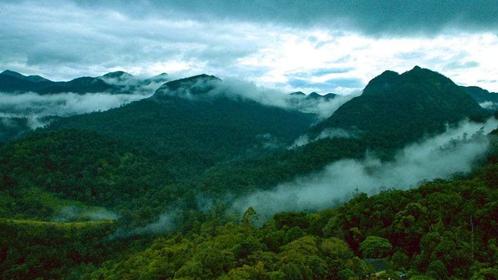 parque-nacional-valle-silencioso-palakkad