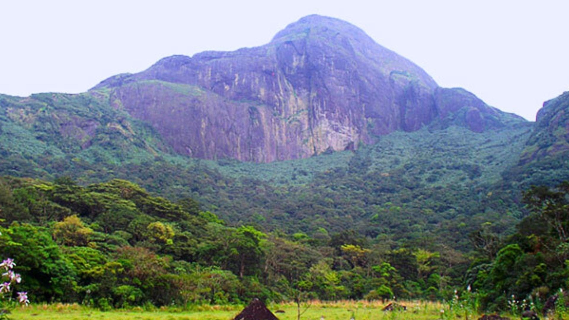 agasthyakoodam-trek