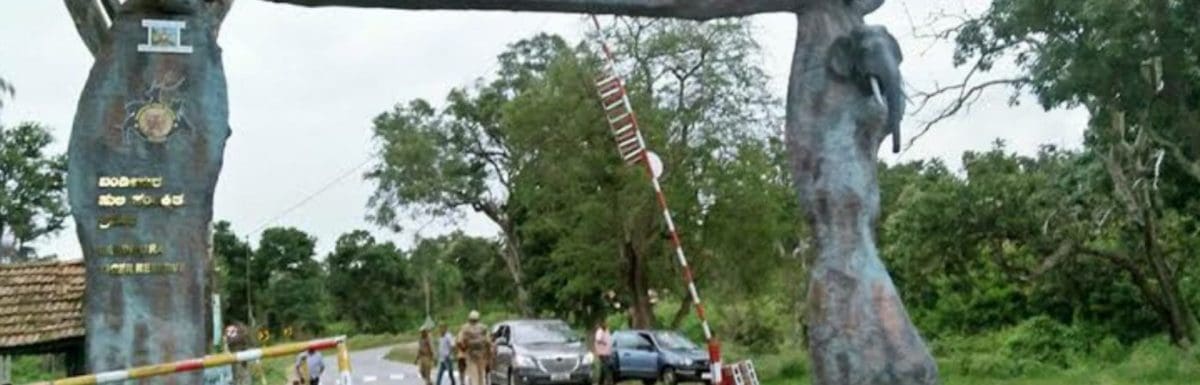 bandipur-national-park