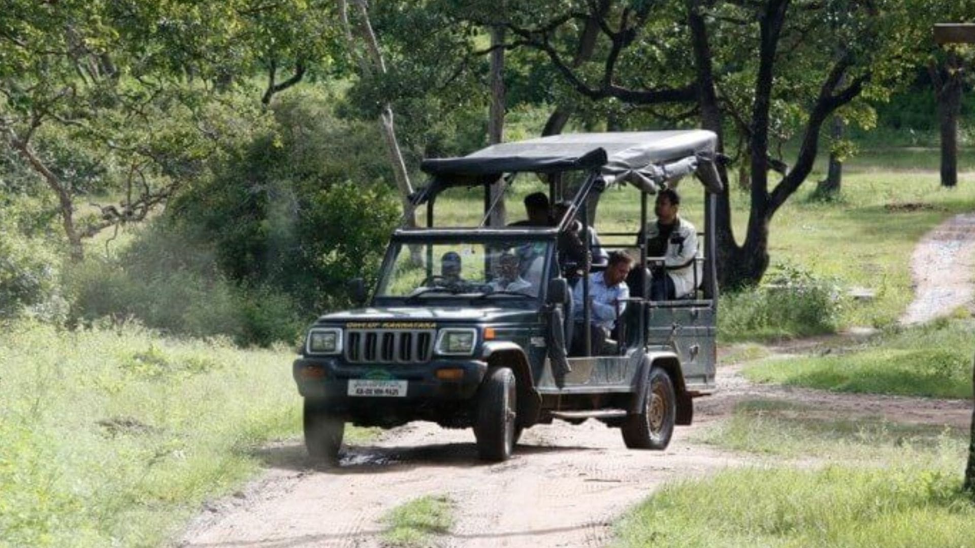 bandipur-national-park