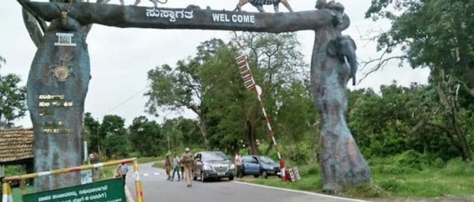 bandipur-national-park