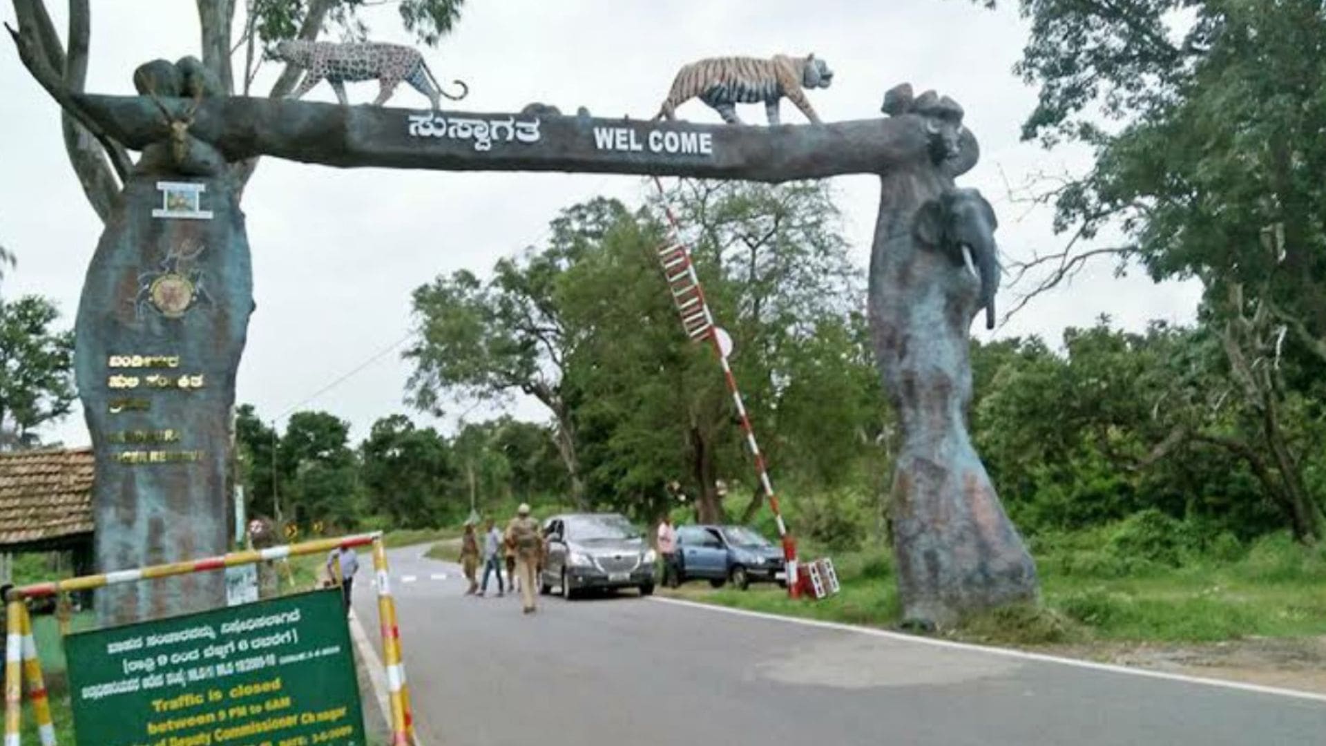 bandipur-national-park