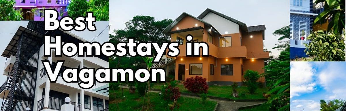 best-homestays-in-vagamon