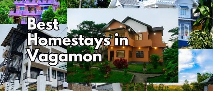 best-homestays-in-vagamon