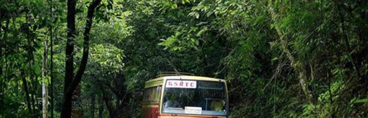 kochi-to-athirappilly-by-bus