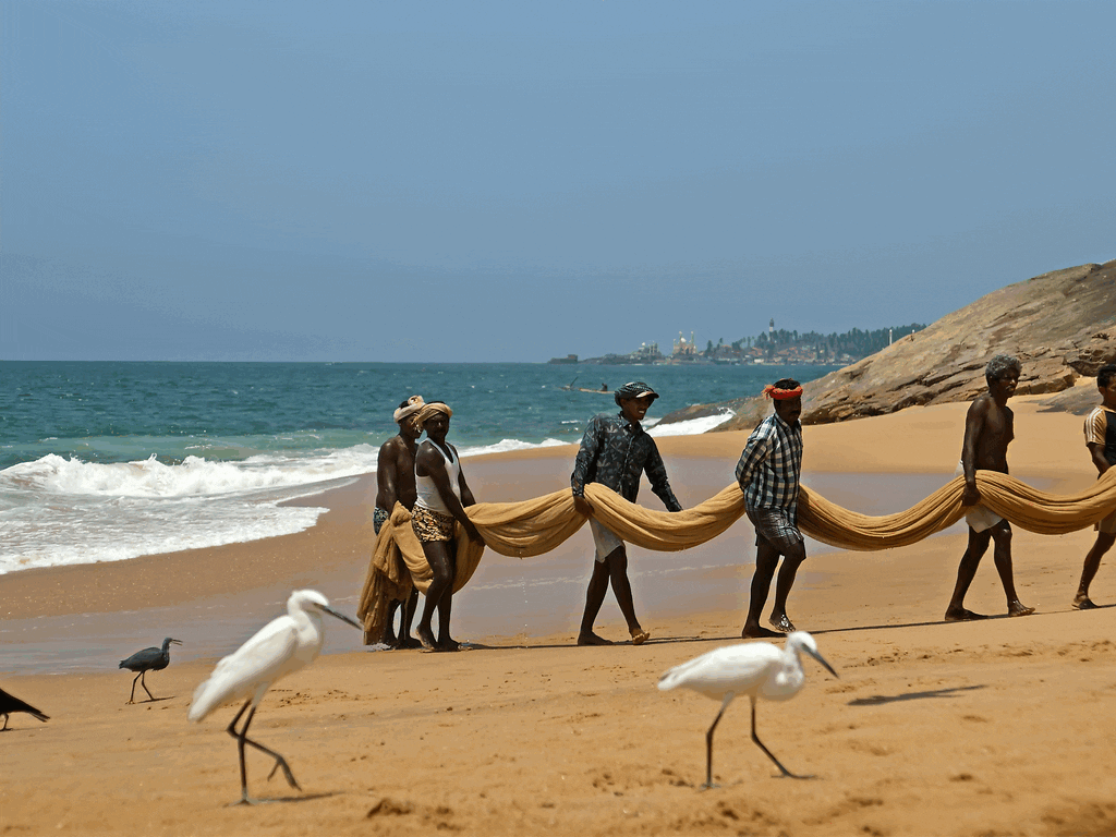 Kovalam To Munnar By Car, Cab, Bus & Train – Iris Holidays