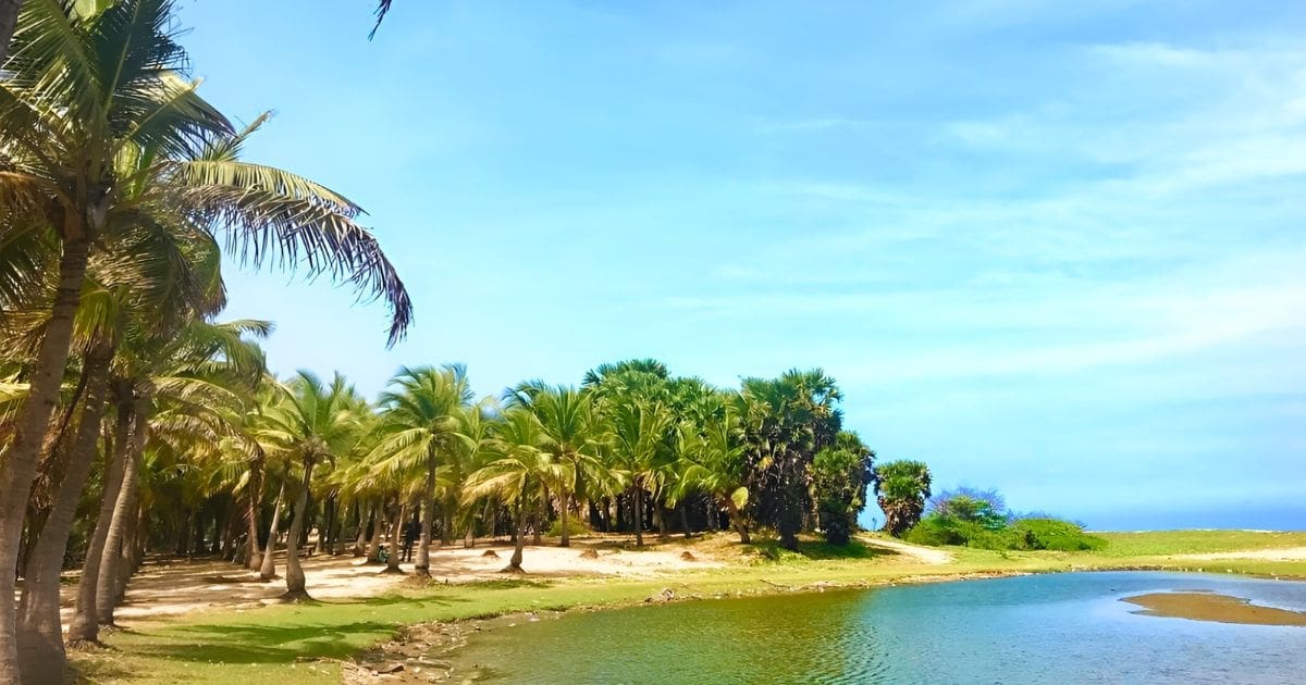 playa-paradisiaca-pondicherry