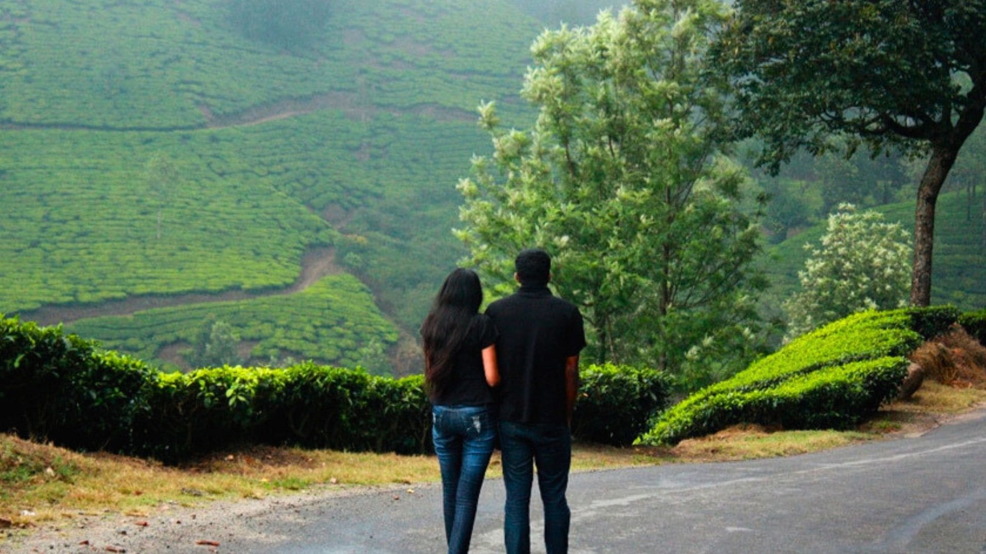 Kerala-honeymoon-munnar