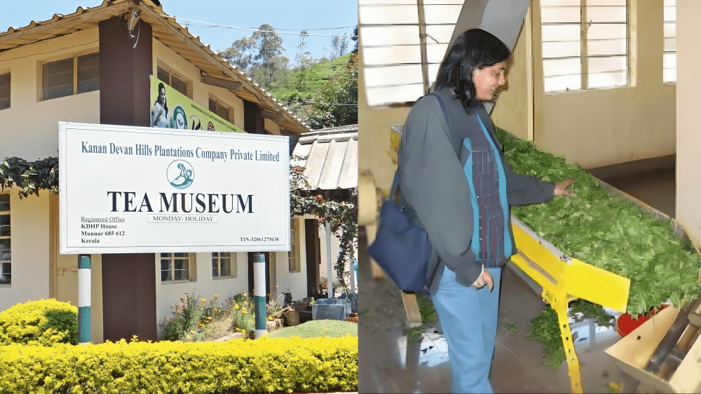 tata-tea-museum