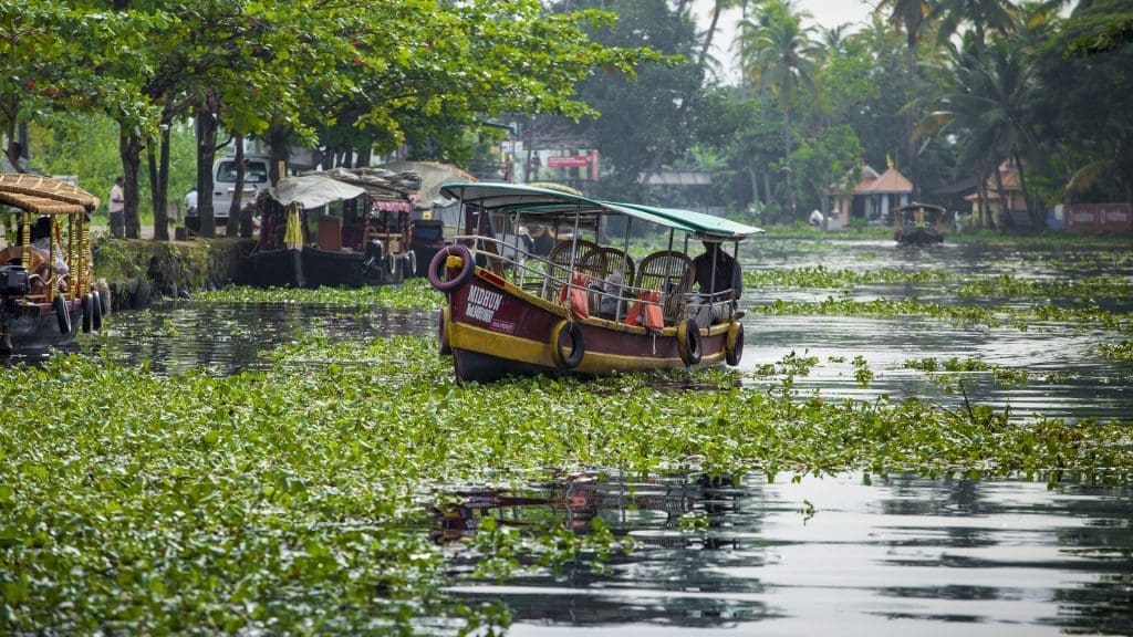 boat-ride-in-alleppey