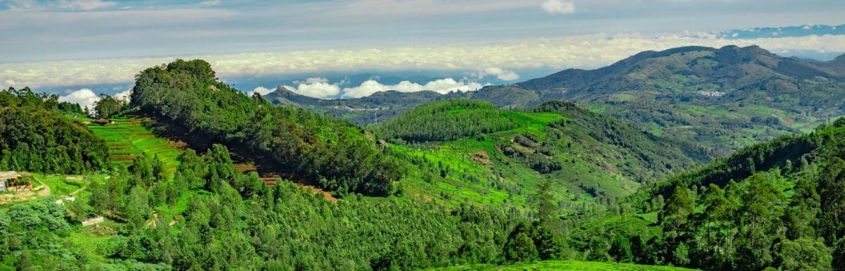 best-vagamon-tourism-destinations