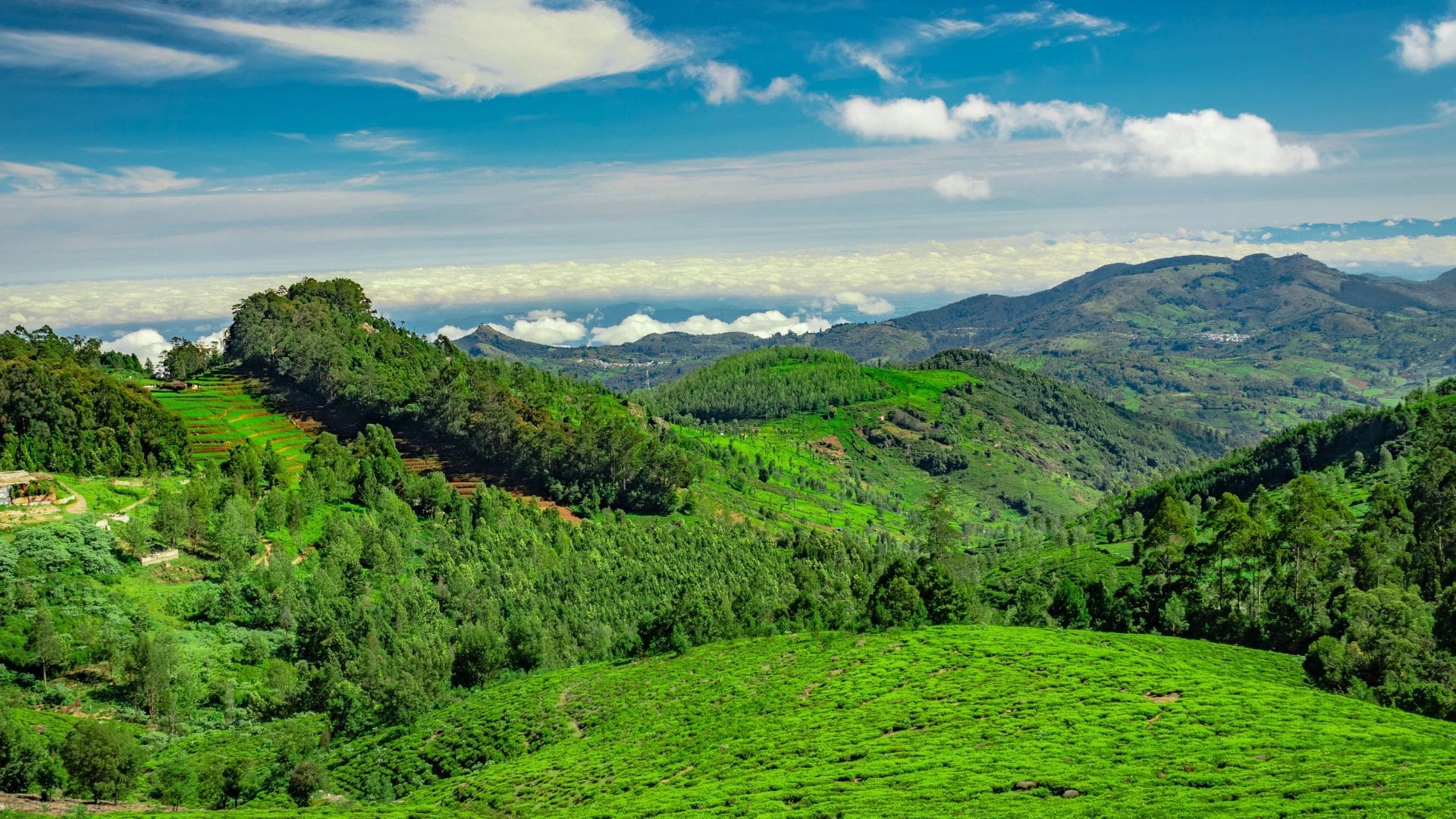 best-vagamon-tourism-destinations
