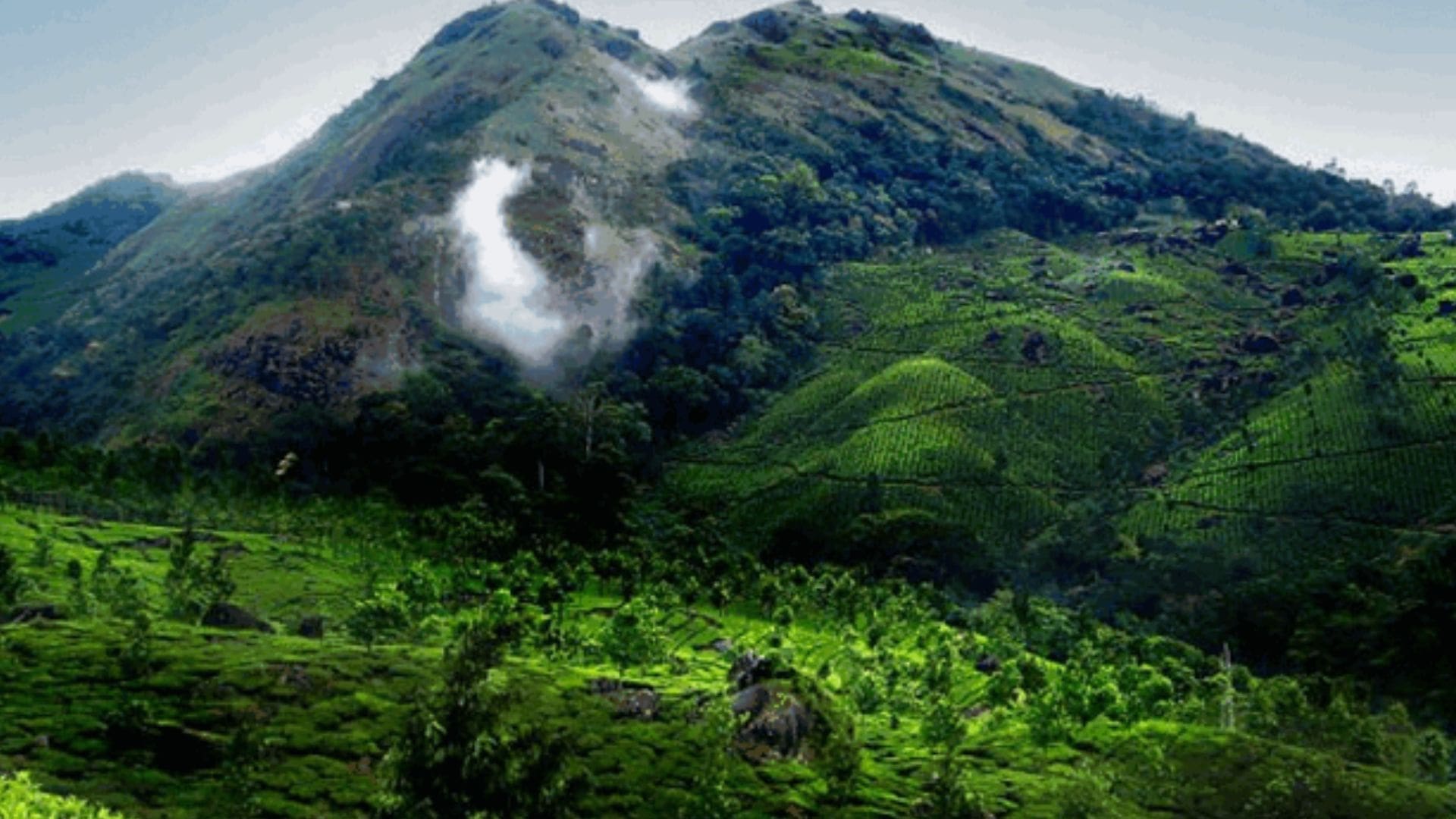 pothanmedu-view-point-munnar