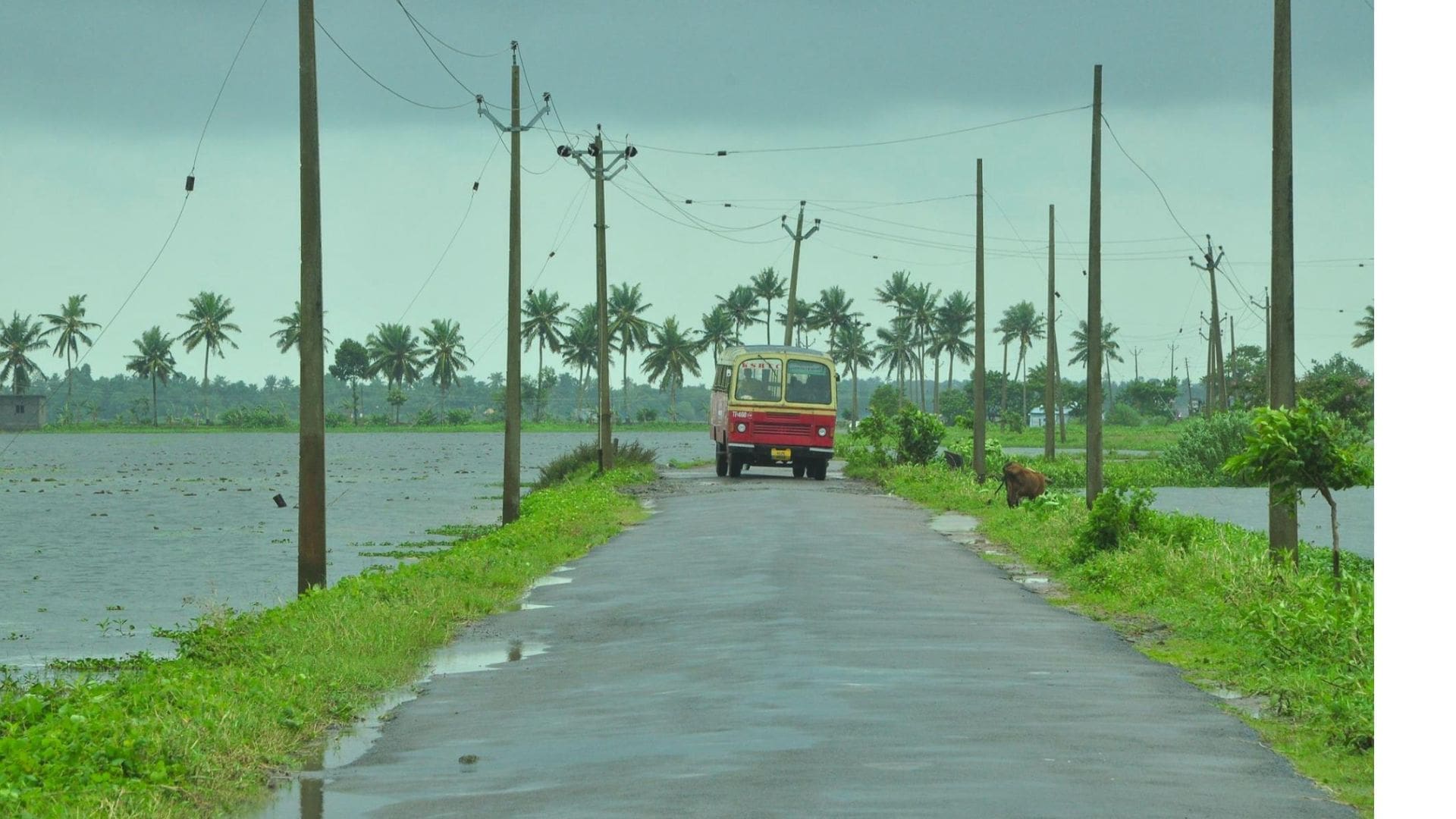 Popular-routes-for-driving-in-keralpa,