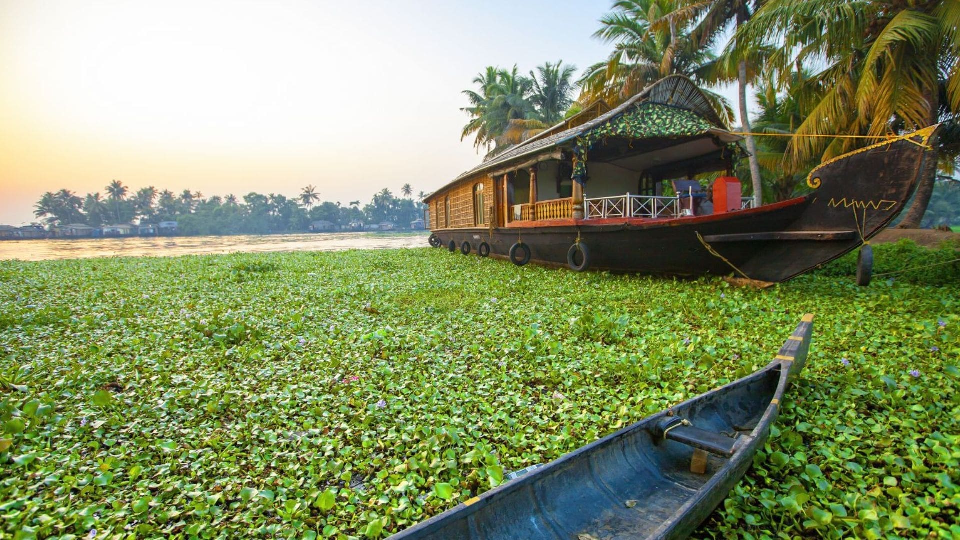 summer-season-backwaters-tour