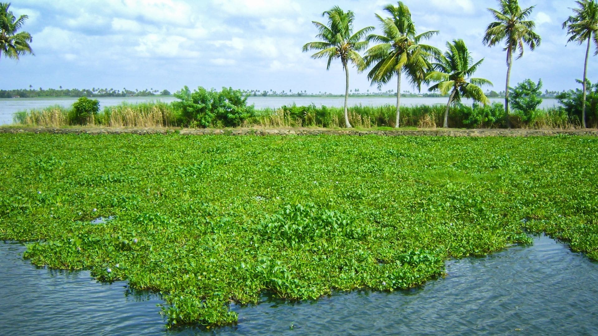 best-time-to-visit-kerala