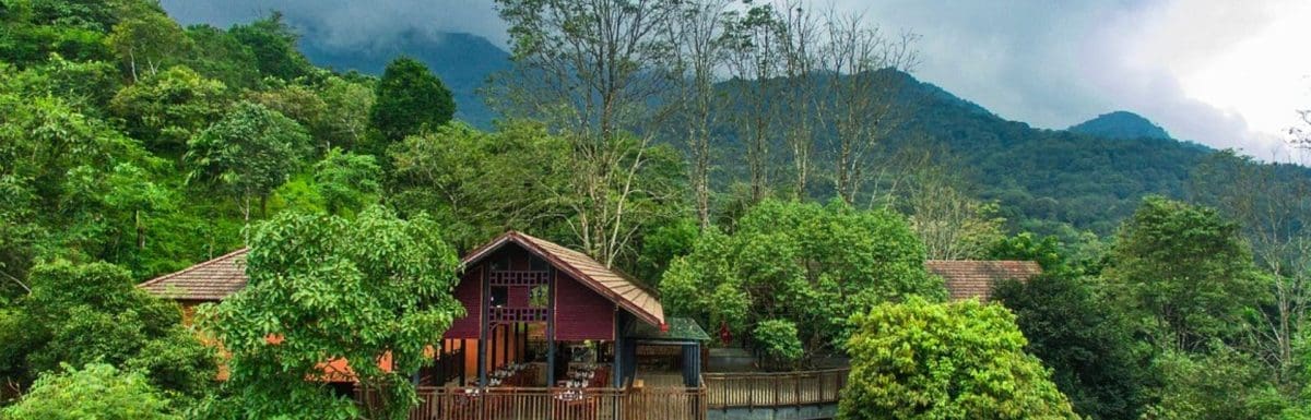 green-magic-treehouse-resort