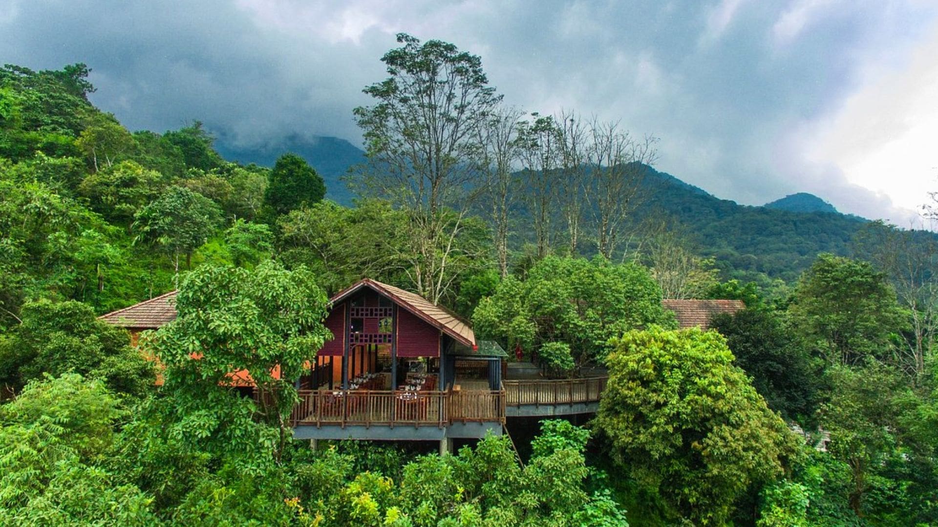 green-magic-treehouse-resort