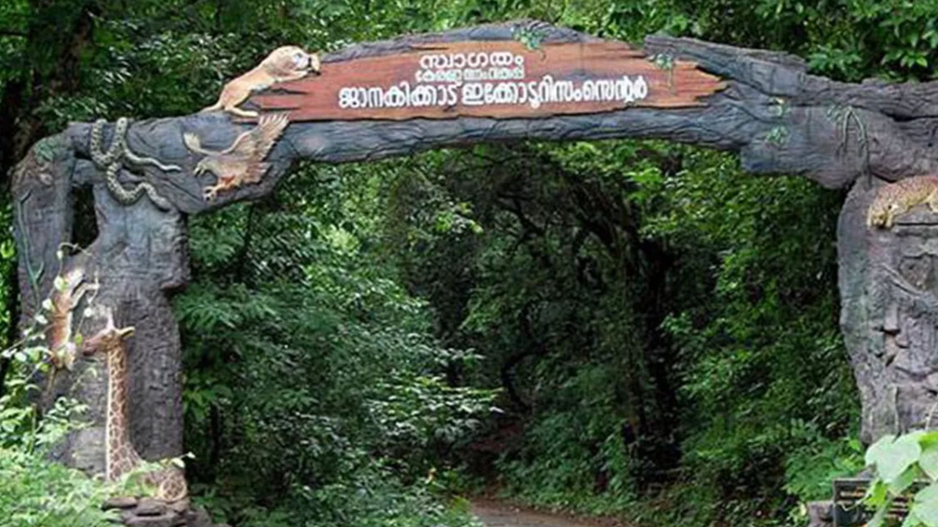 janaki-forest