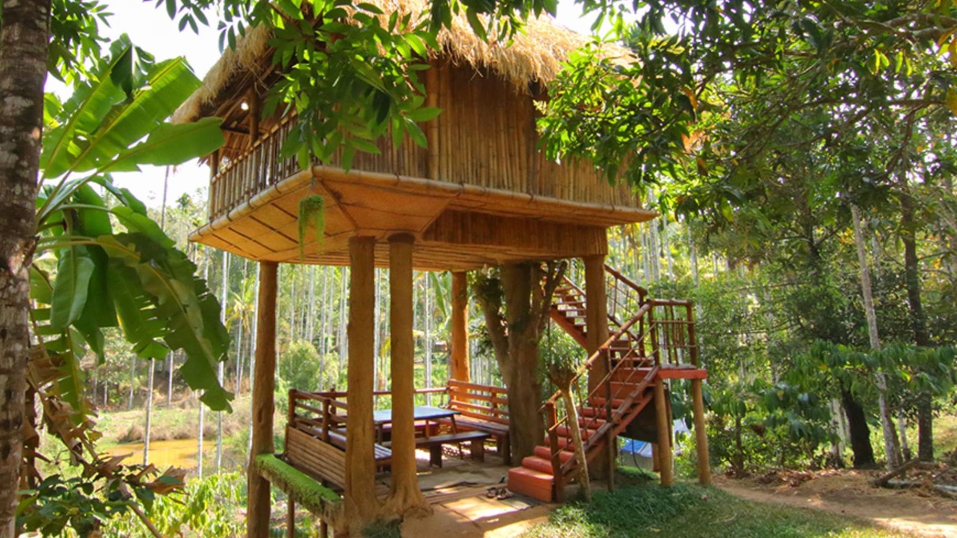 kalidasatree-house