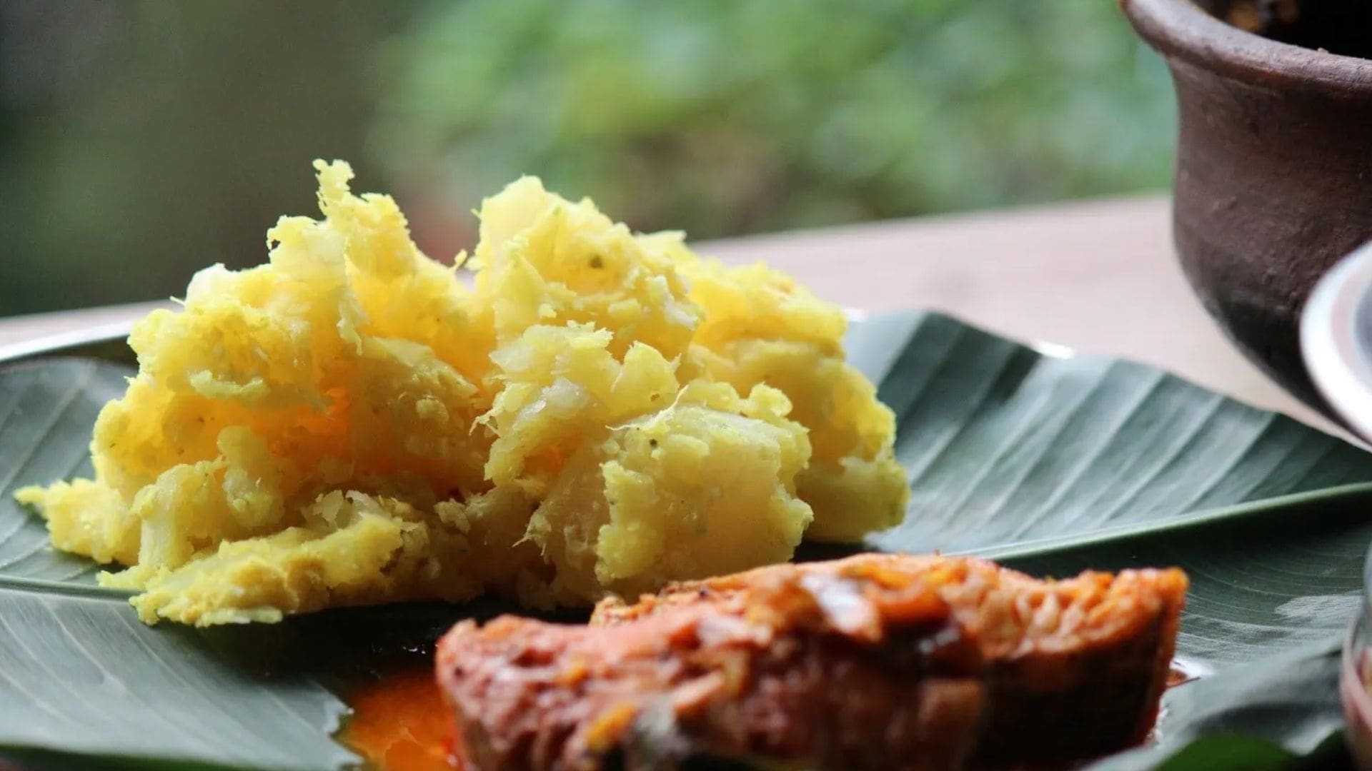 kappa-and-fish-curry