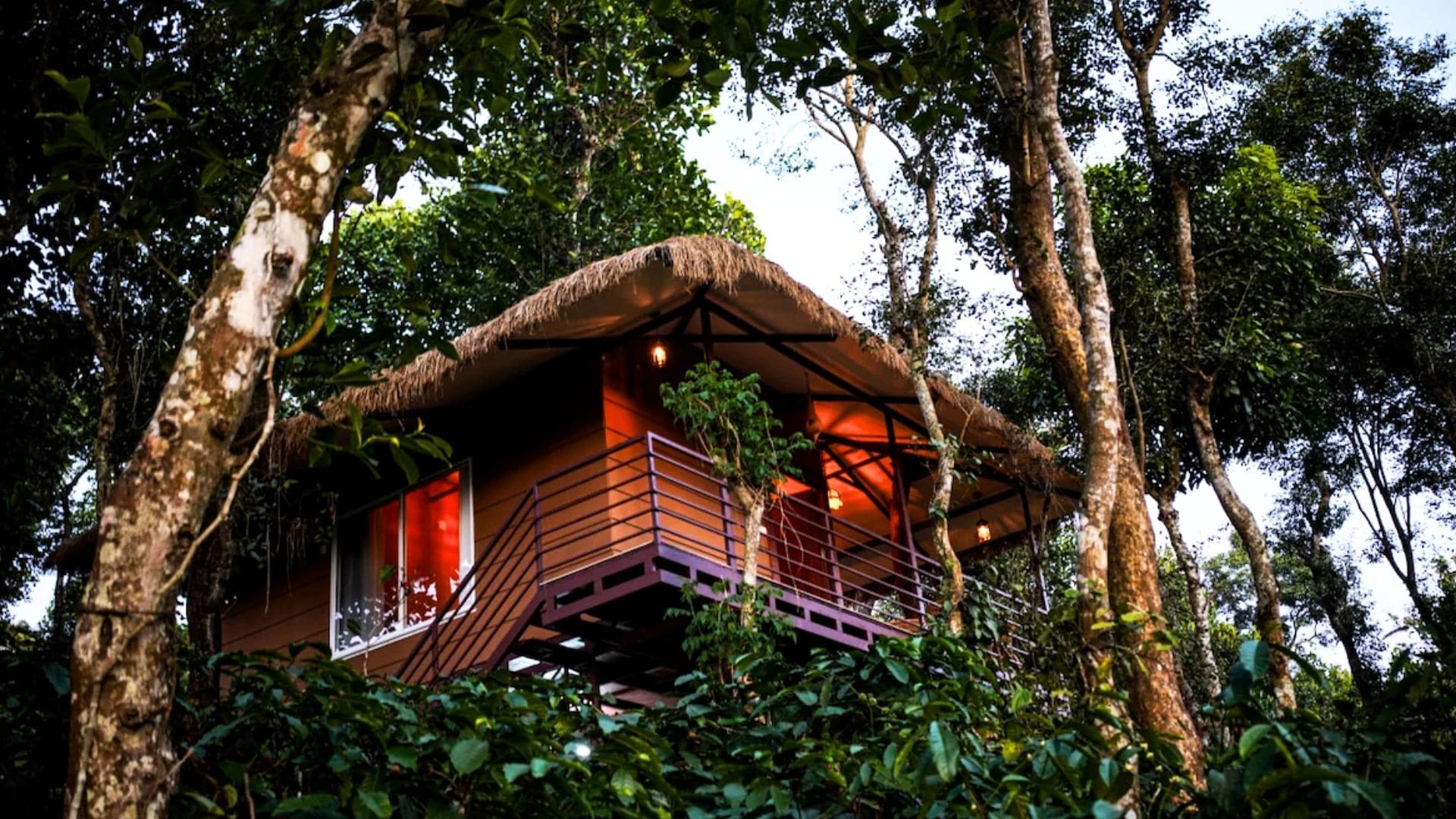 treehouses-in-wayanad
