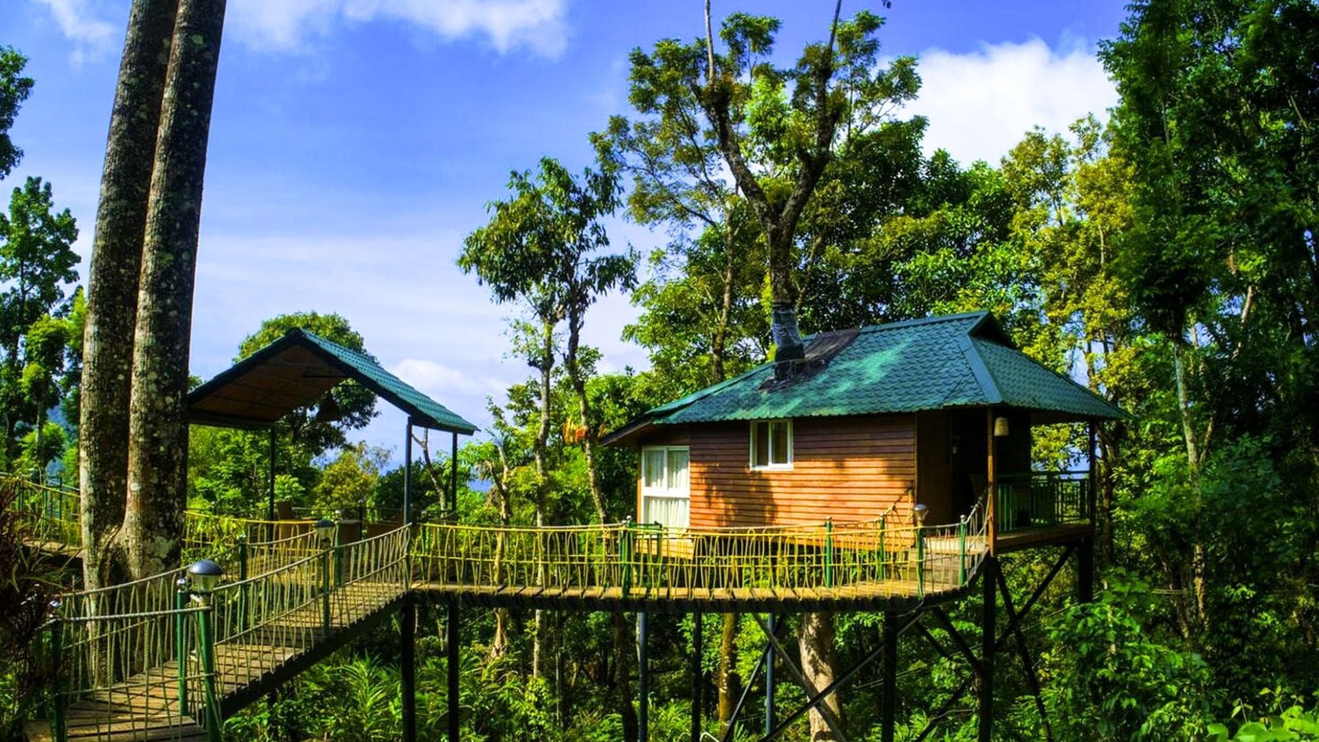 treehouses-in-munnar.