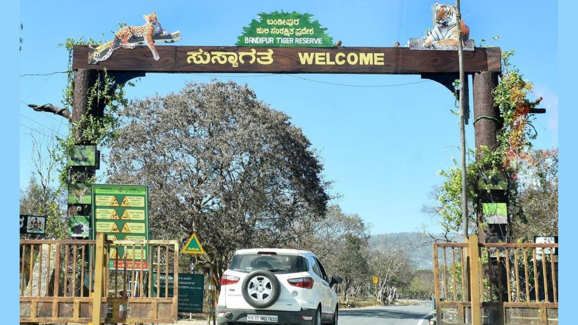bandipur-national-park