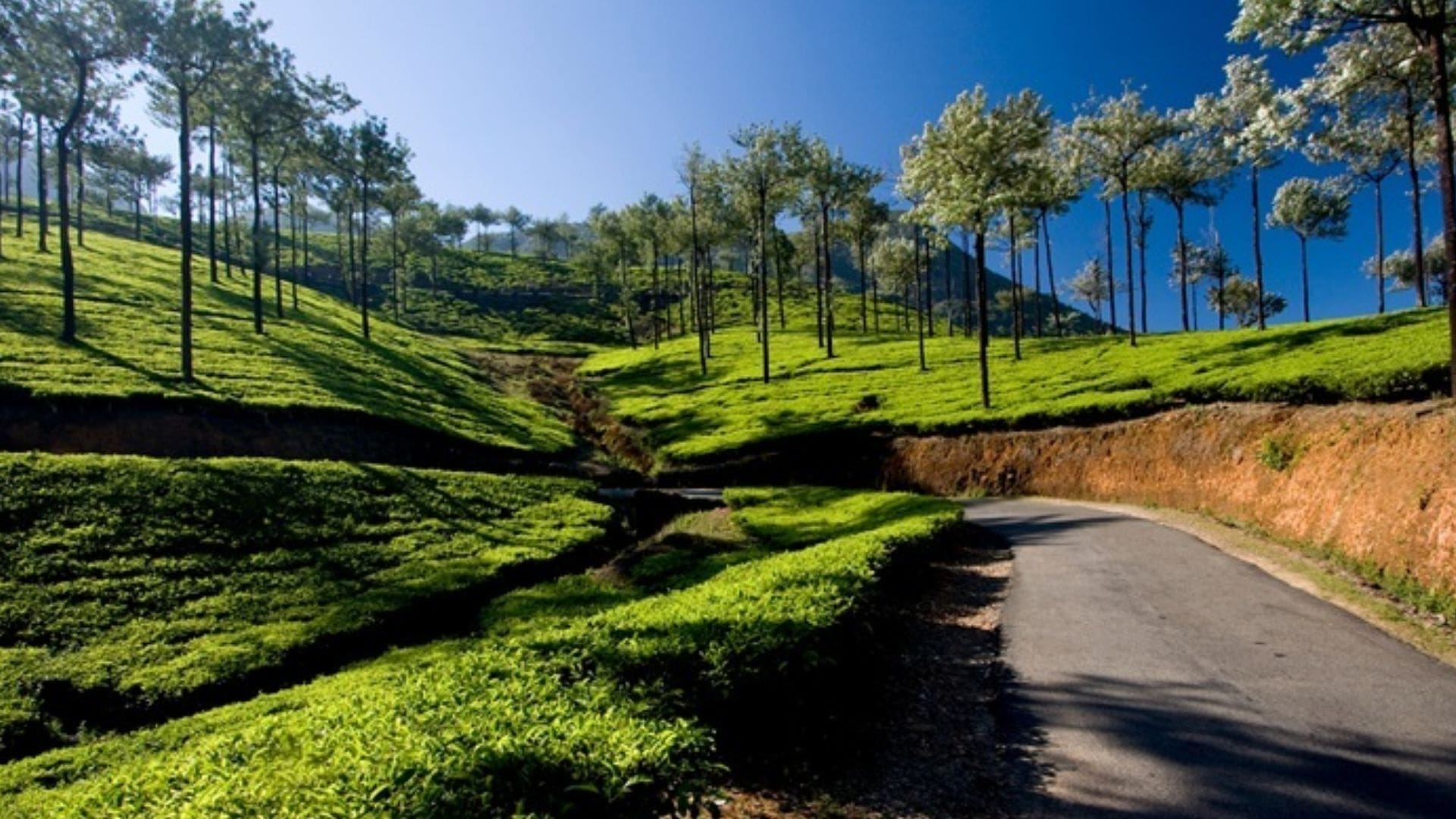 ernakulam-to-vagamon