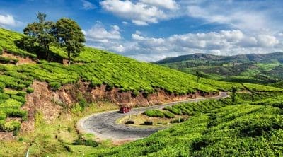 kerala-in-november-munnar