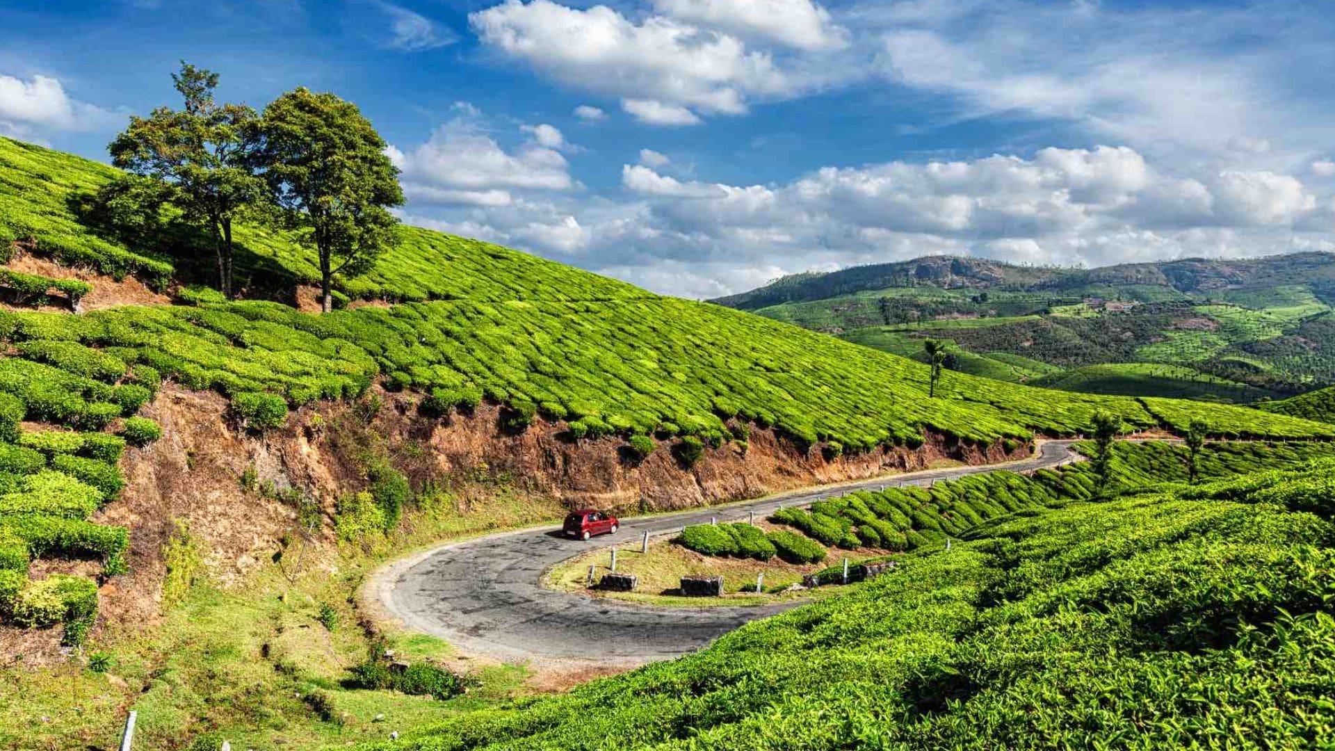 kerala-in-november-munnar