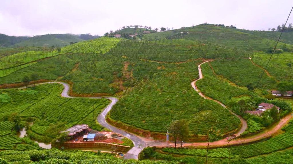 kuttikanam-vagamon-road