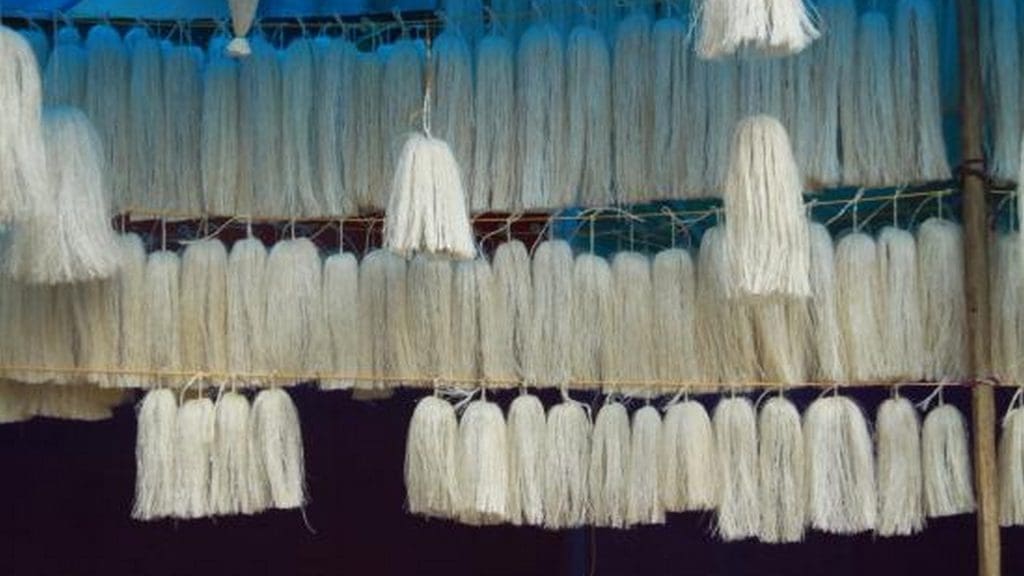 odapoo-kottiyoor-temple