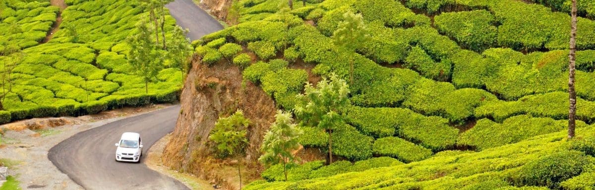 munnar-itinerary-for-2-days