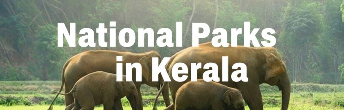 national-parks-in-kerala