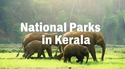 national-parks-in-kerala