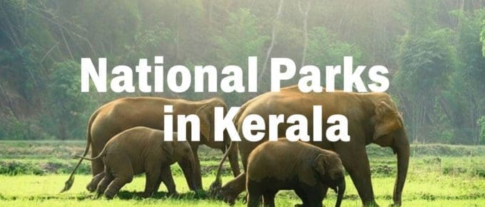 national-parks-in-kerala