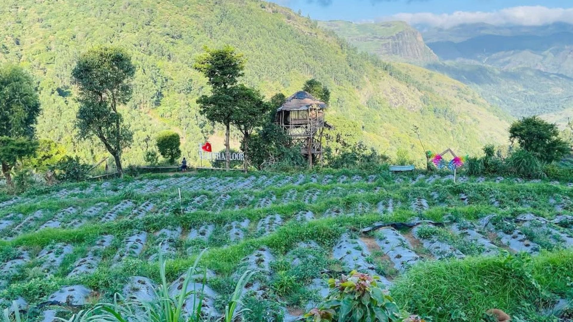 kanthalloor-waterfalls-munnar