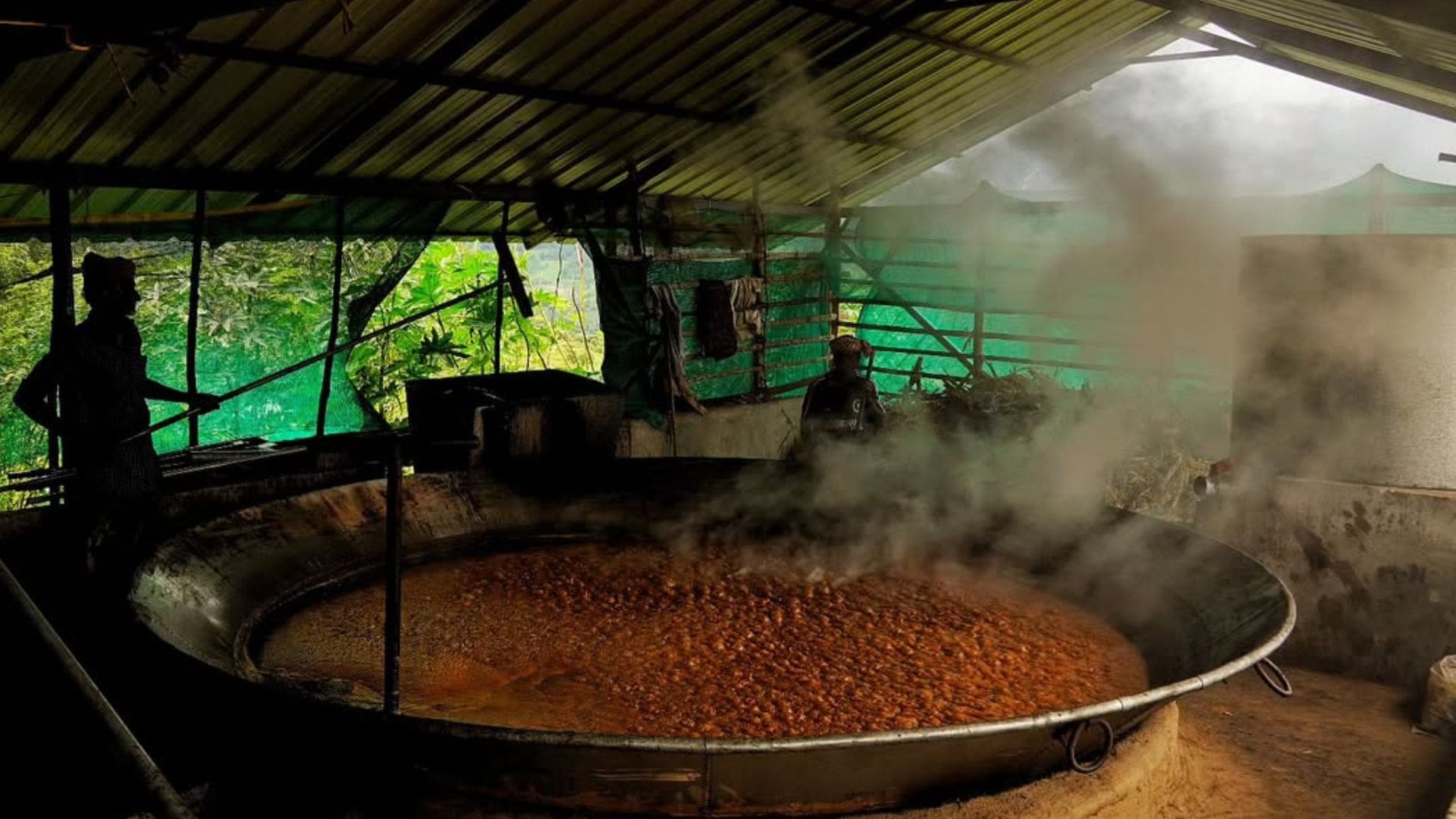 kanthalloor-sugarcane-and-jaggery-farms