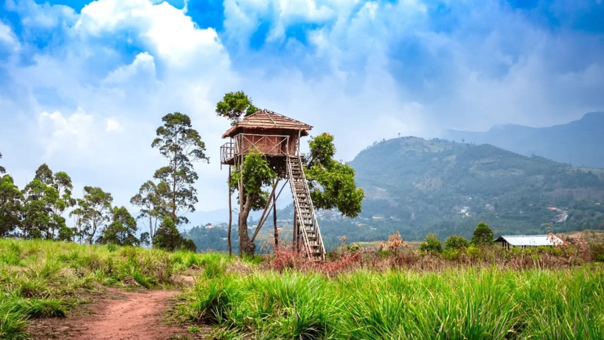 lemon-grass-valley-kanthalloor