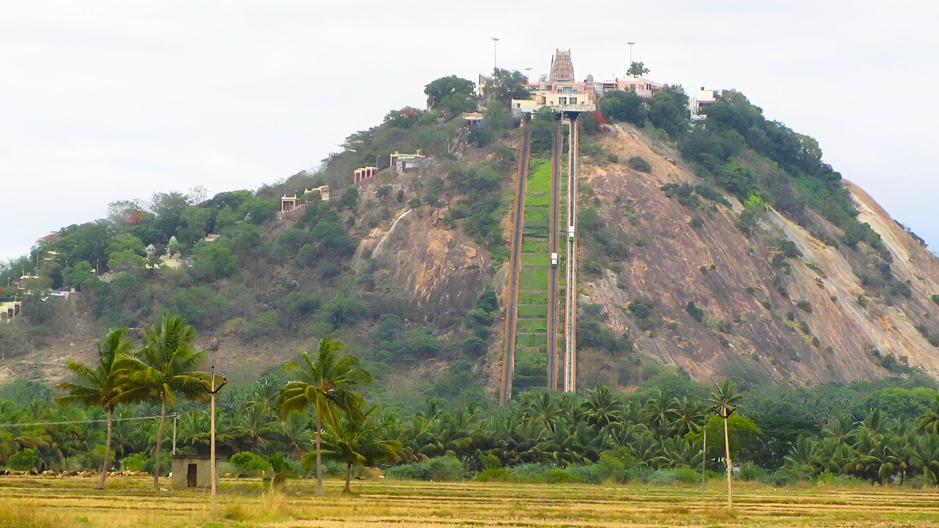 palani-temple