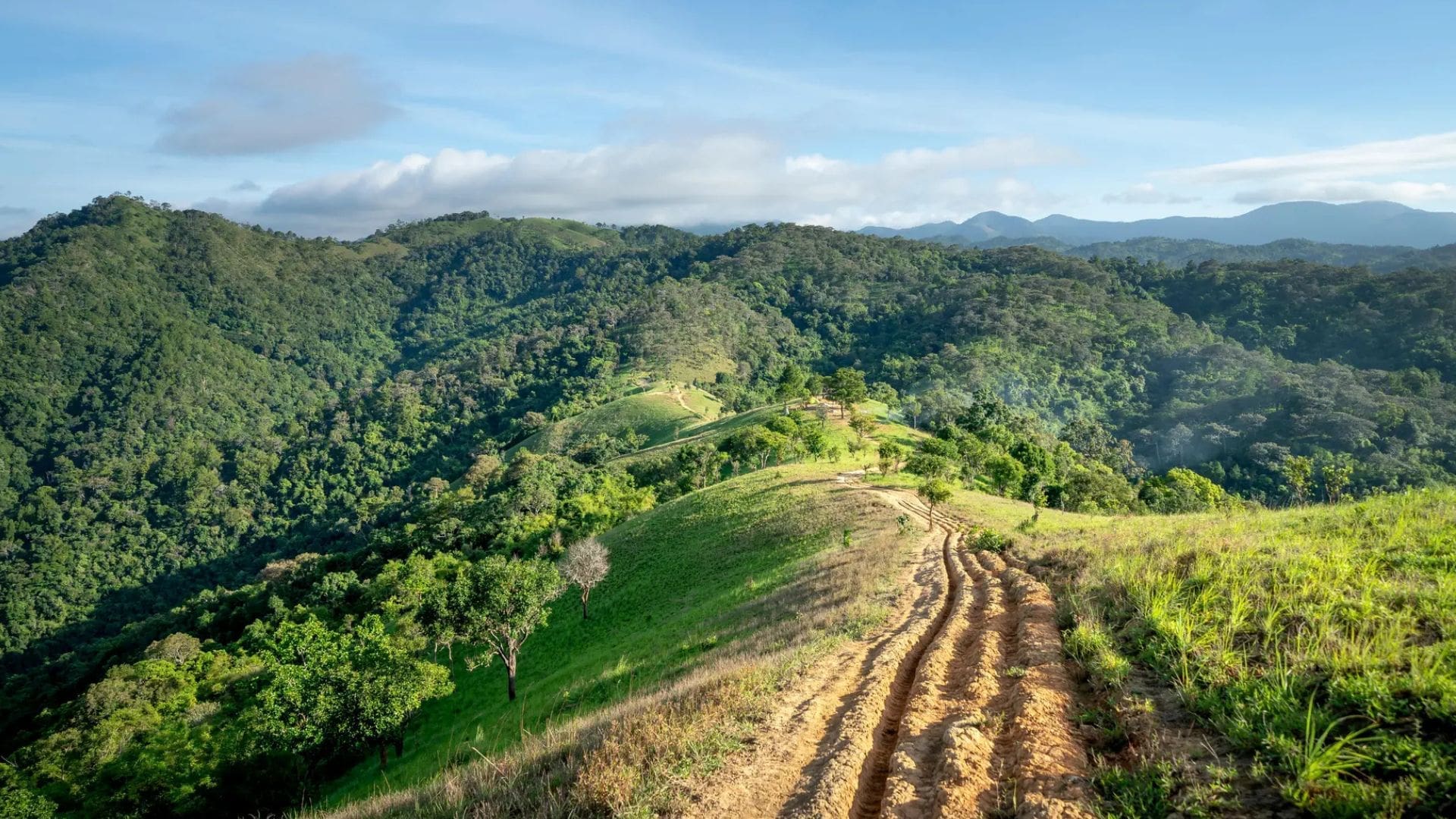 mandalpatti-viewpoint